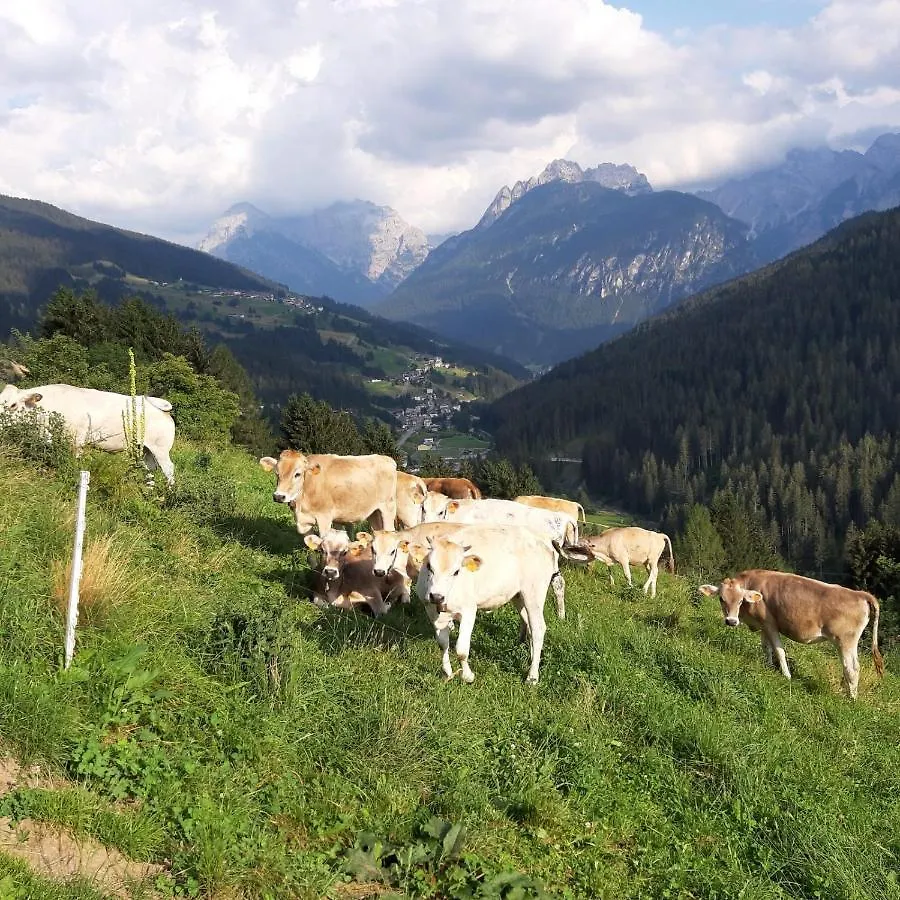 דירה סנטו סטפנו די קדורה Dolomiti Da Vivere