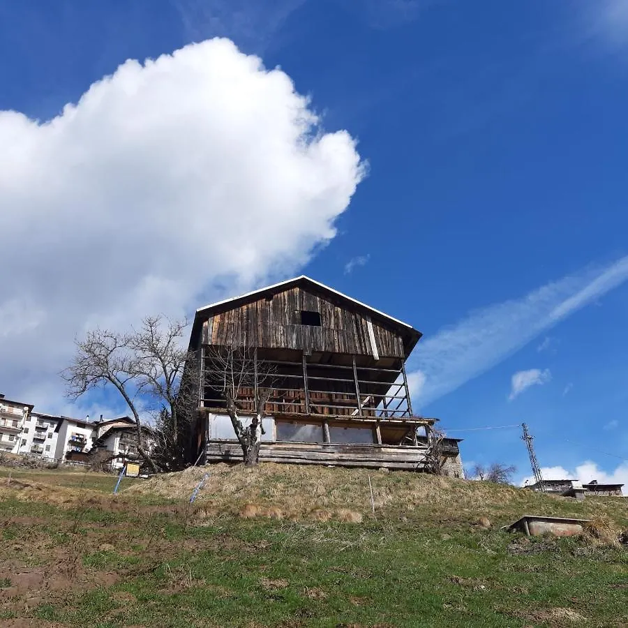 דירה סנטו סטפנו די קדורה Dolomiti Da Vivere